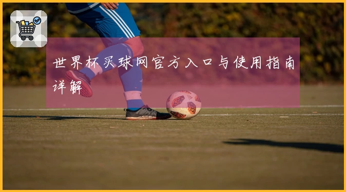 世界杯买球网官方入口与使用指南详解