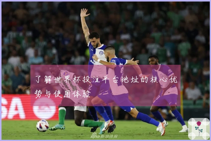 了解世界杯投注平台地址的核心优势与使用体验