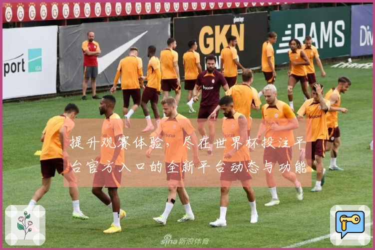 提升观赛体验，尽在世界杯投注平台官方入口的全新平台动态与功能介绍