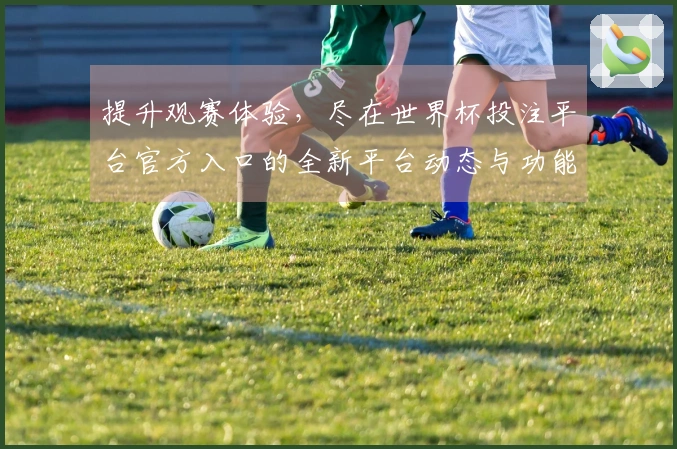 提升观赛体验，尽在世界杯投注平台官方入口的全新平台动态与功能介绍