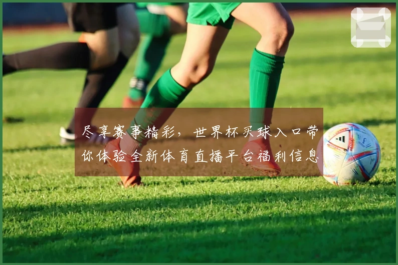 尽享赛事精彩，世界杯买球入口带你体验全新体育直播平台福利信息汇总