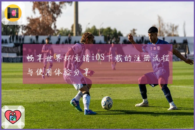 畅享世界杯竞猜iOS下载的注册流程与使用体验分享