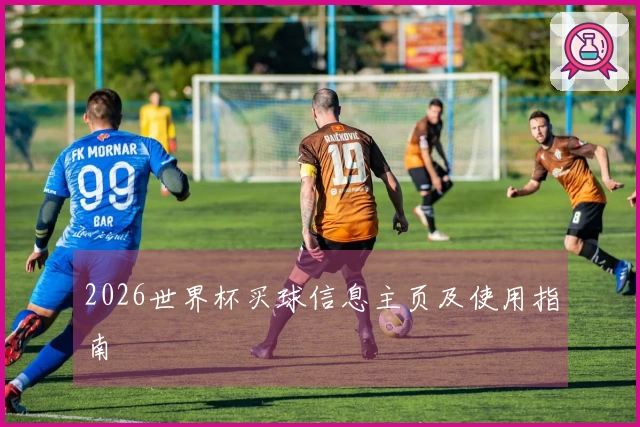 2026世界杯买球信息主页及使用指南