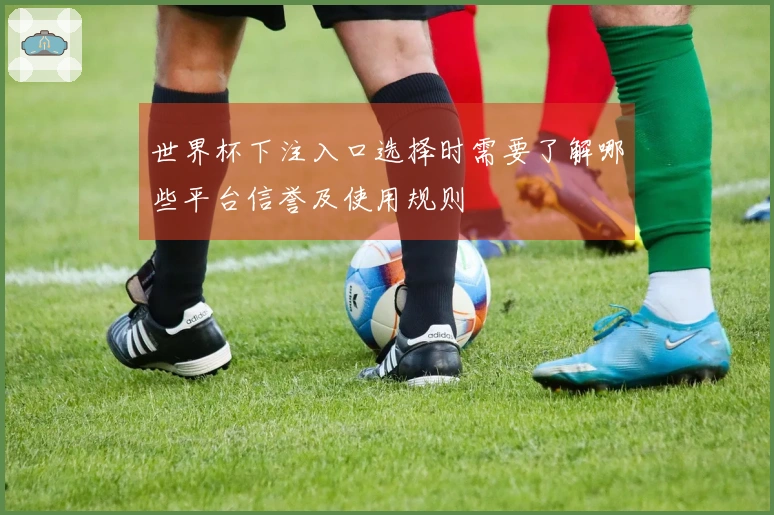 世界杯下注入口选择时需要了解哪些平台信誉及使用规则