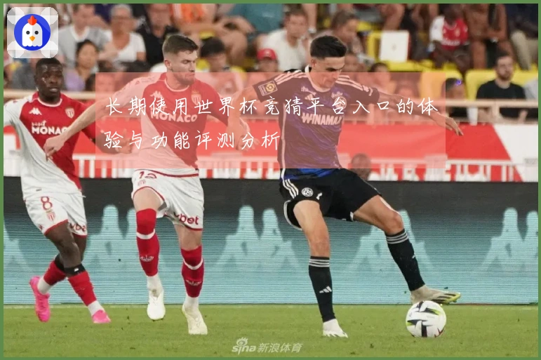 长期使用世界杯竞猜平台入口的体验与功能评测分析