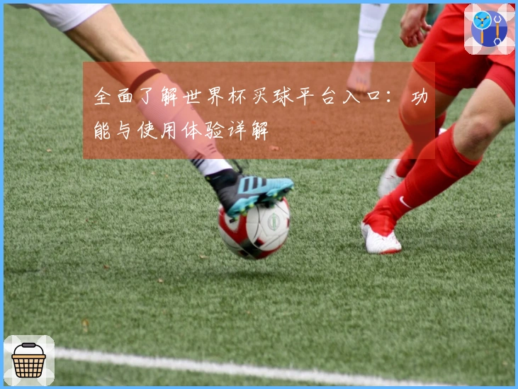 全面了解世界杯买球平台入口：功能与使用体验详解
