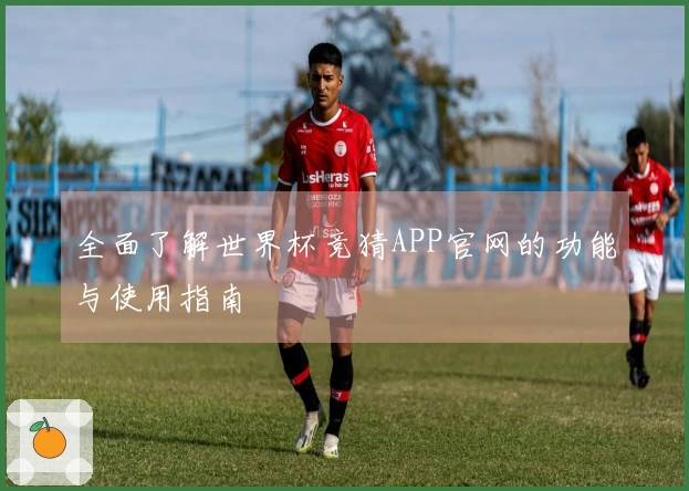 全面了解世界杯竞猜APP官网的功能与使用指南